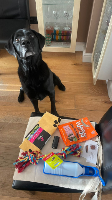 Complimentary bag of dog goodies